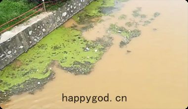 河(hé)道管理復(fù)雜(zá)，違規(guī)處理(lǐ)效率低(dī)