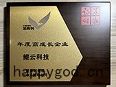 Securities Times High-Growth Enterprise of the Year